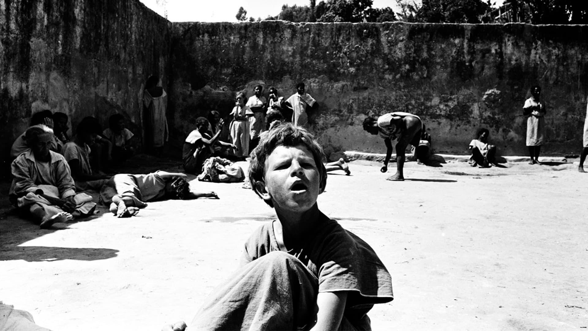 Brazilian Holocaust backdrop