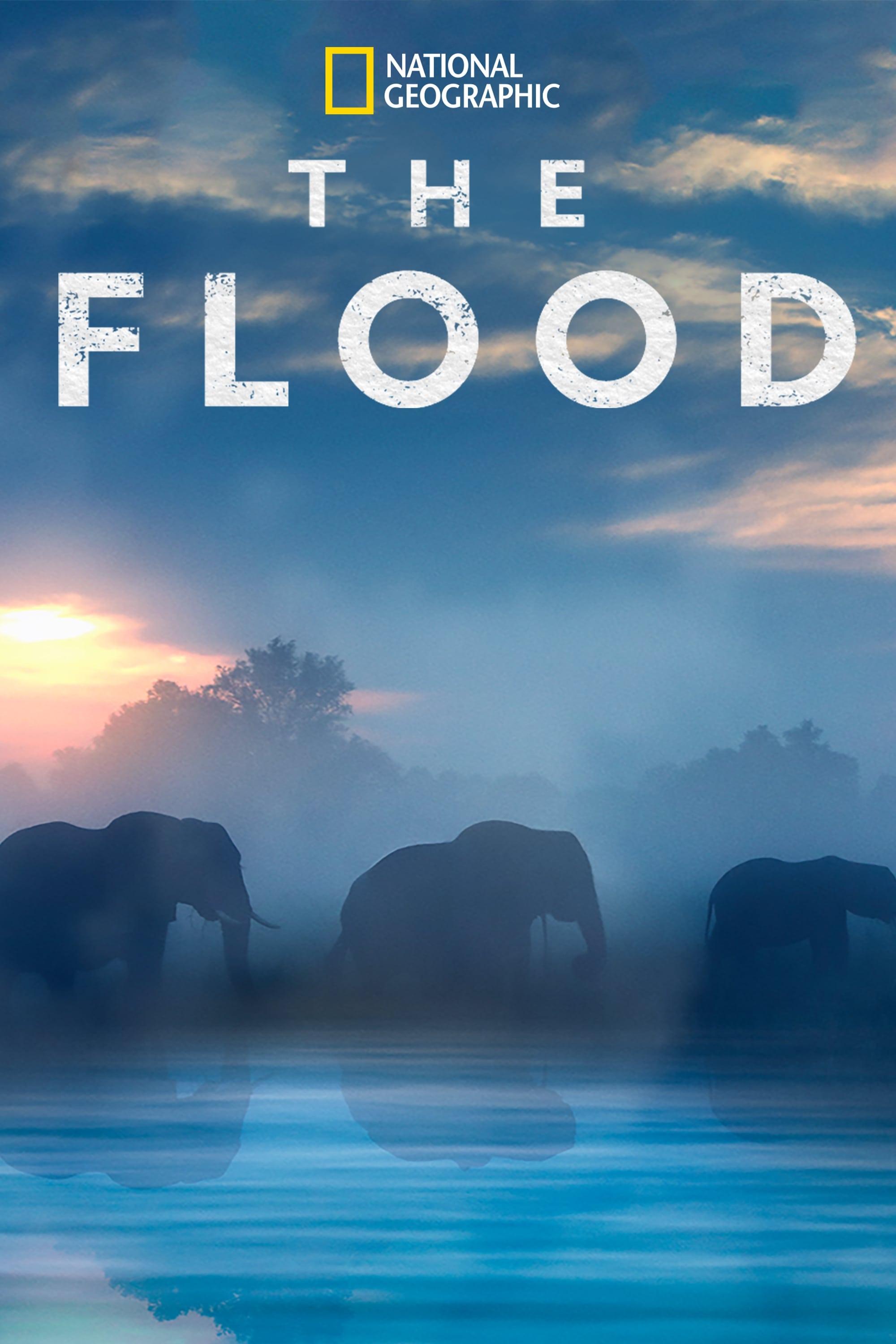 The Flood poster