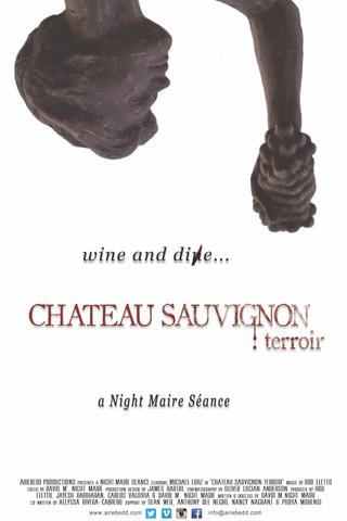 Chateau Sauvignon: terroir poster