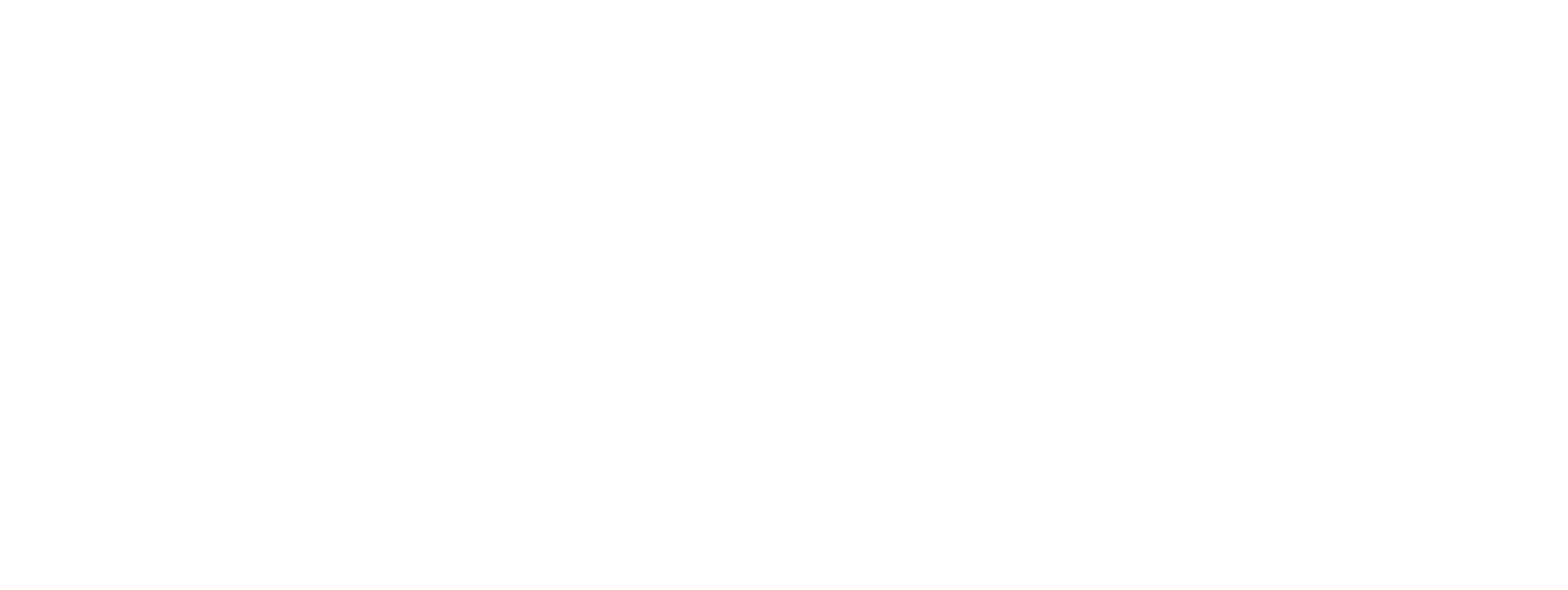 The Last Thing Mary Saw logo