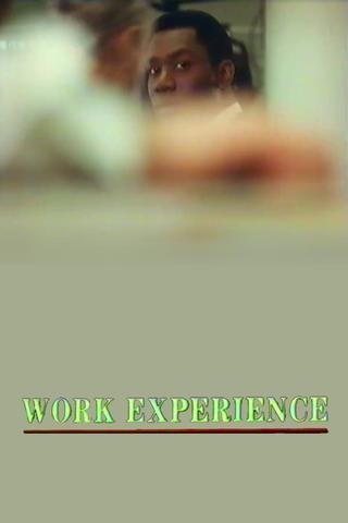 Work Experience poster
