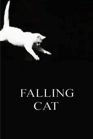 Falling Cat poster