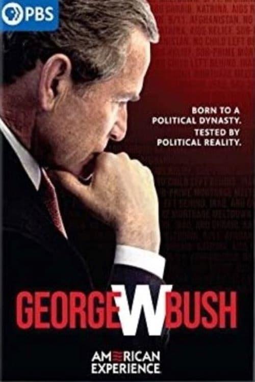 George W. Bush poster
