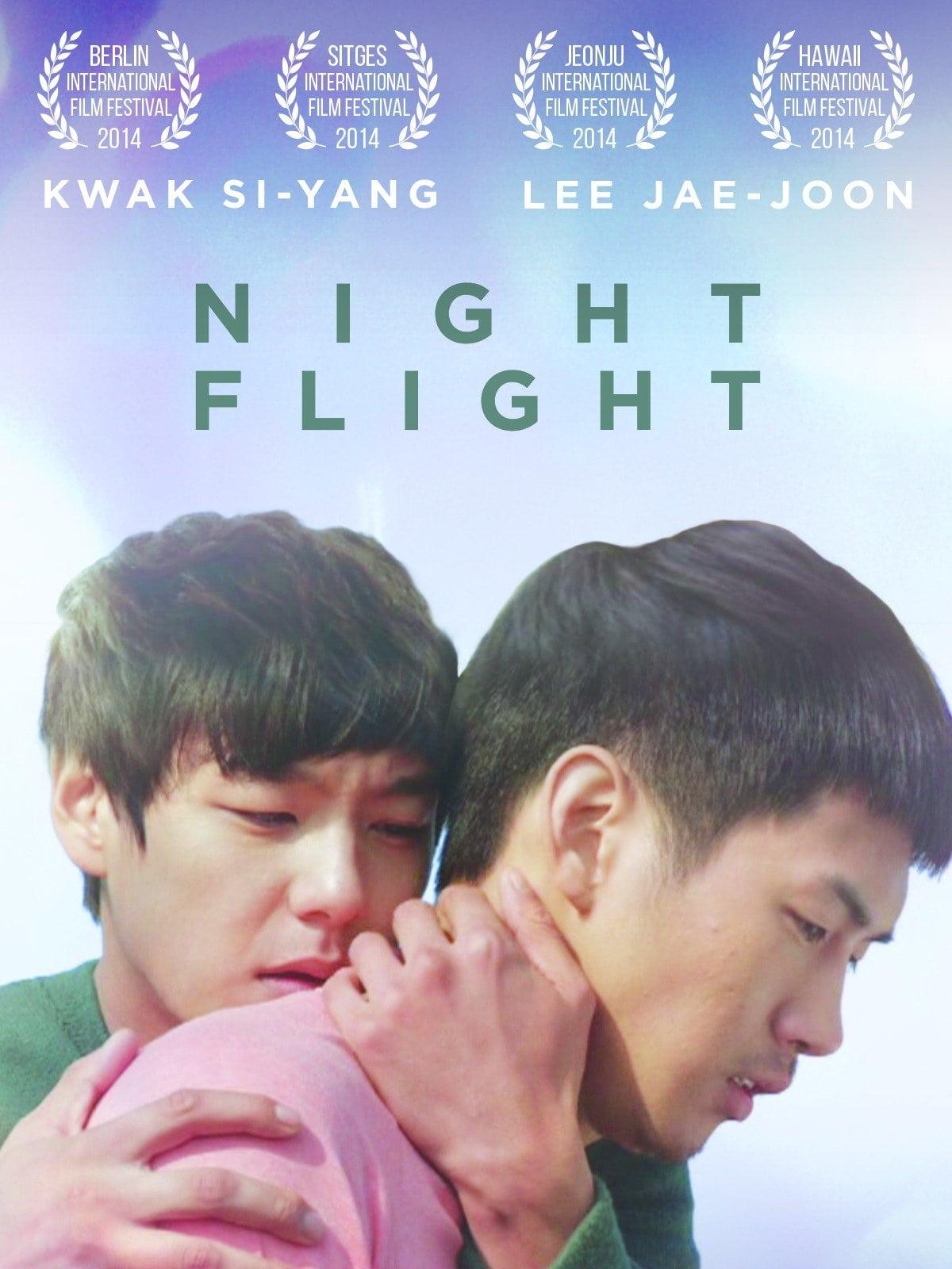 Night Flight poster