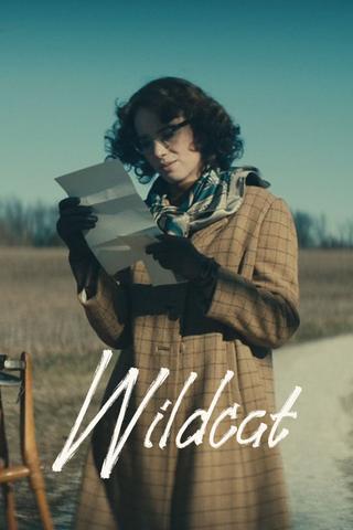 Wildcat poster