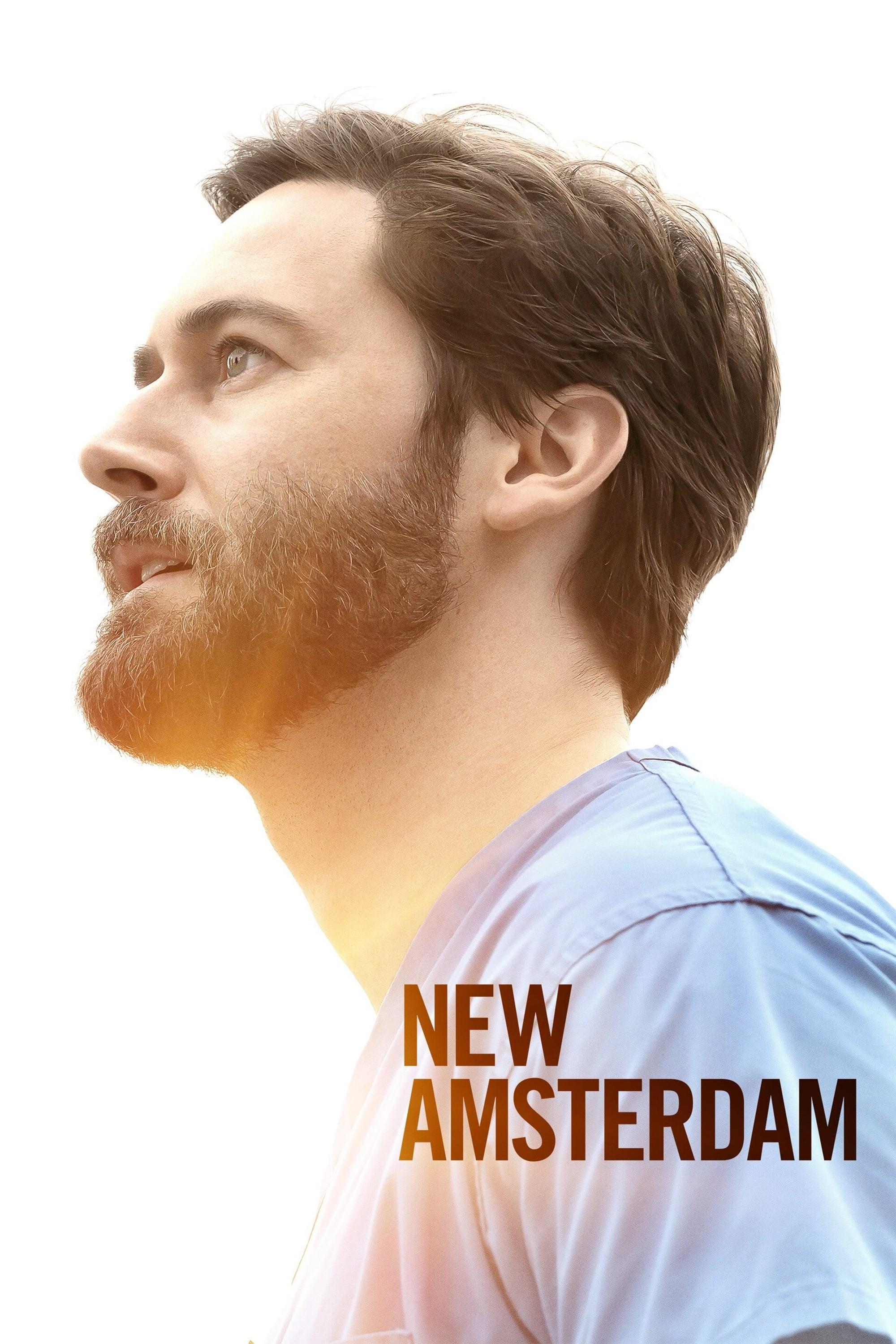 New Amsterdam poster