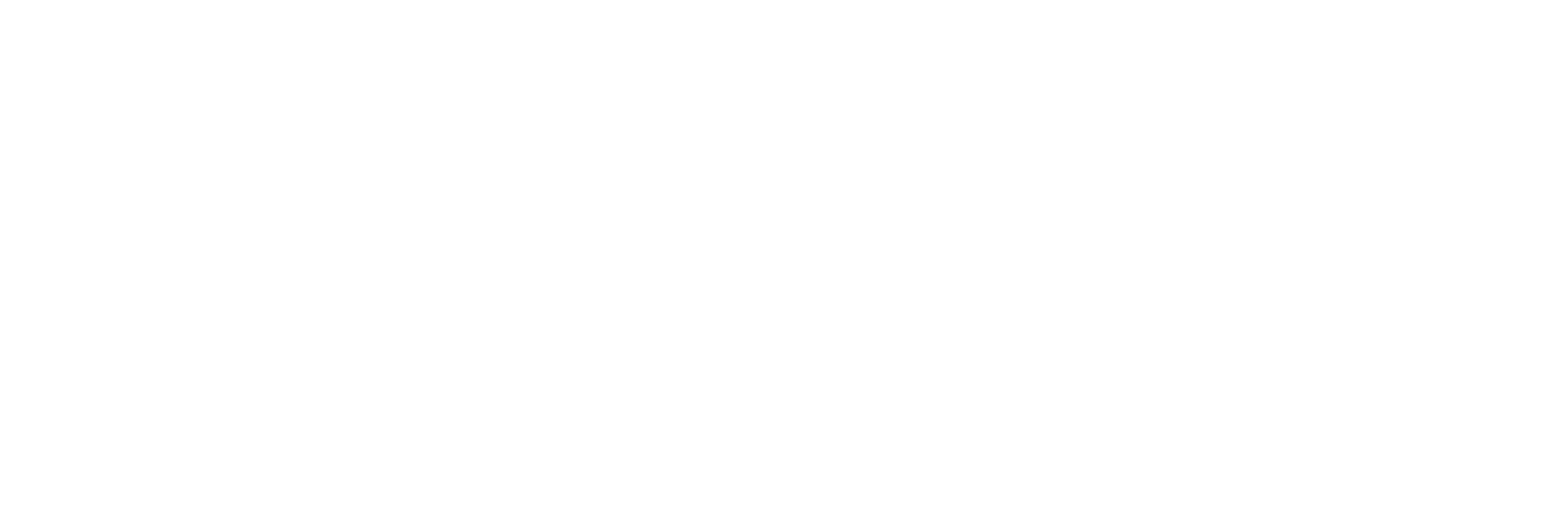 D2: The Mighty Ducks logo