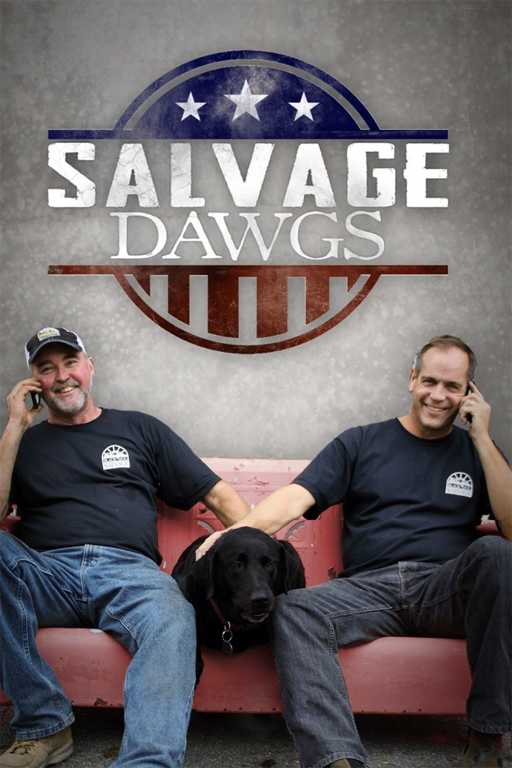 Salvage Dawgs poster