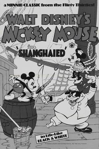 Shanghaied poster