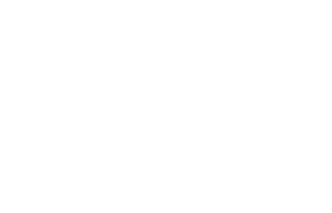 Selena: The Series logo
