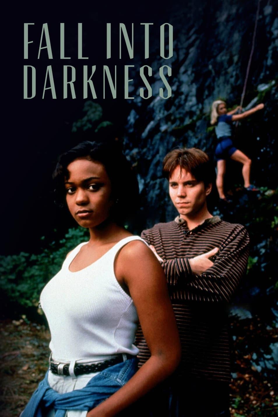 Fall Into Darkness poster