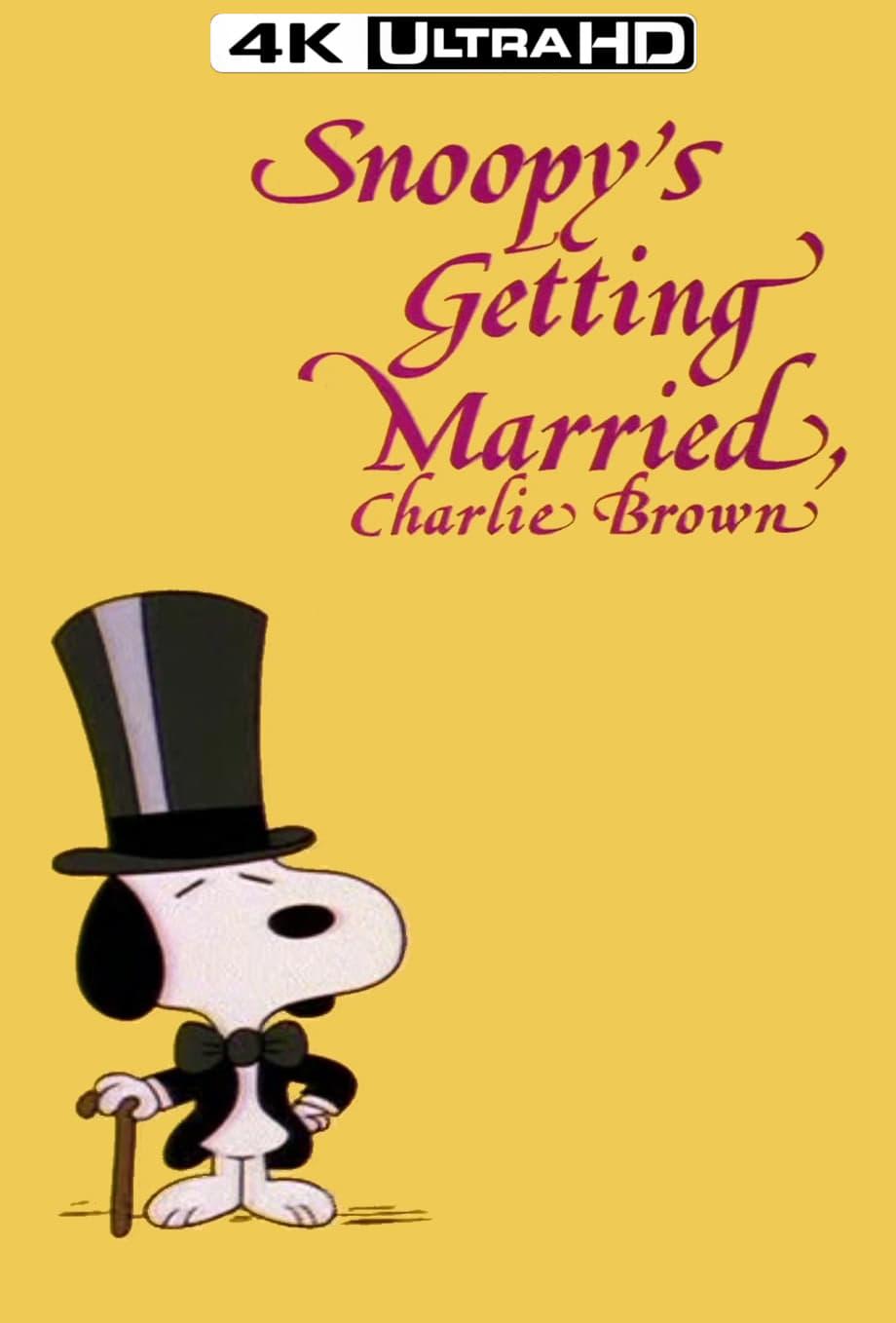 Snoopy's Getting Married, Charlie Brown poster