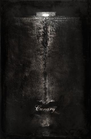 Canary poster