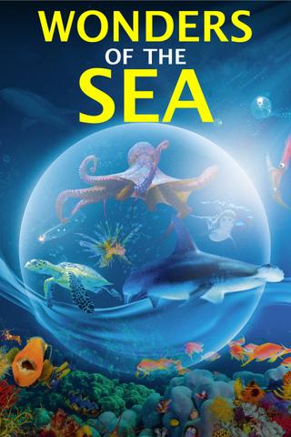 Wonders of the Sea 3D poster