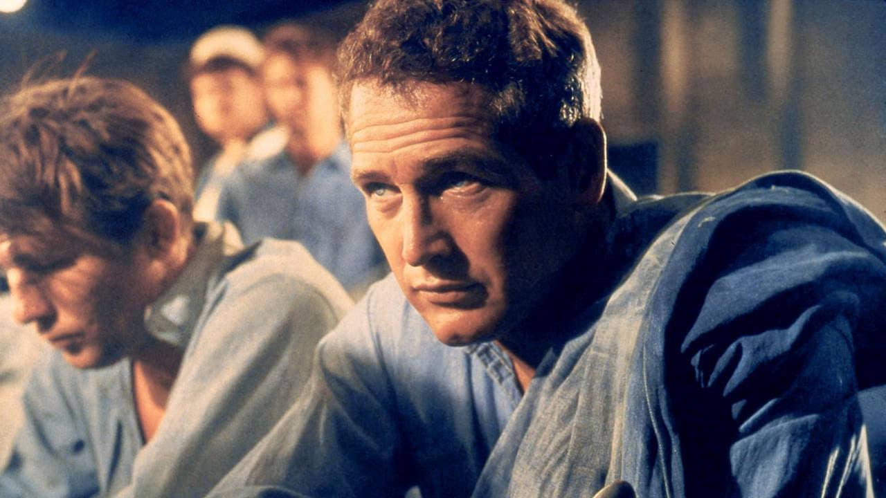 Paul Newman: The Restless backdrop