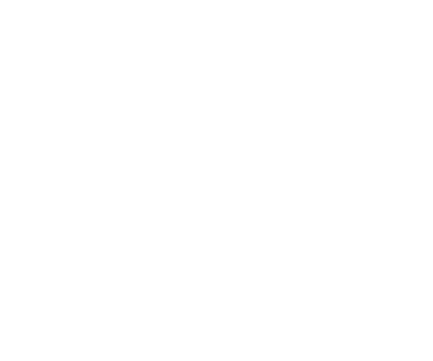 The Thorn Birds logo