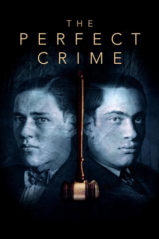The Perfect Crime: Leopold & Loeb poster