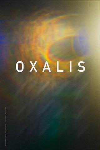 Oxalis poster