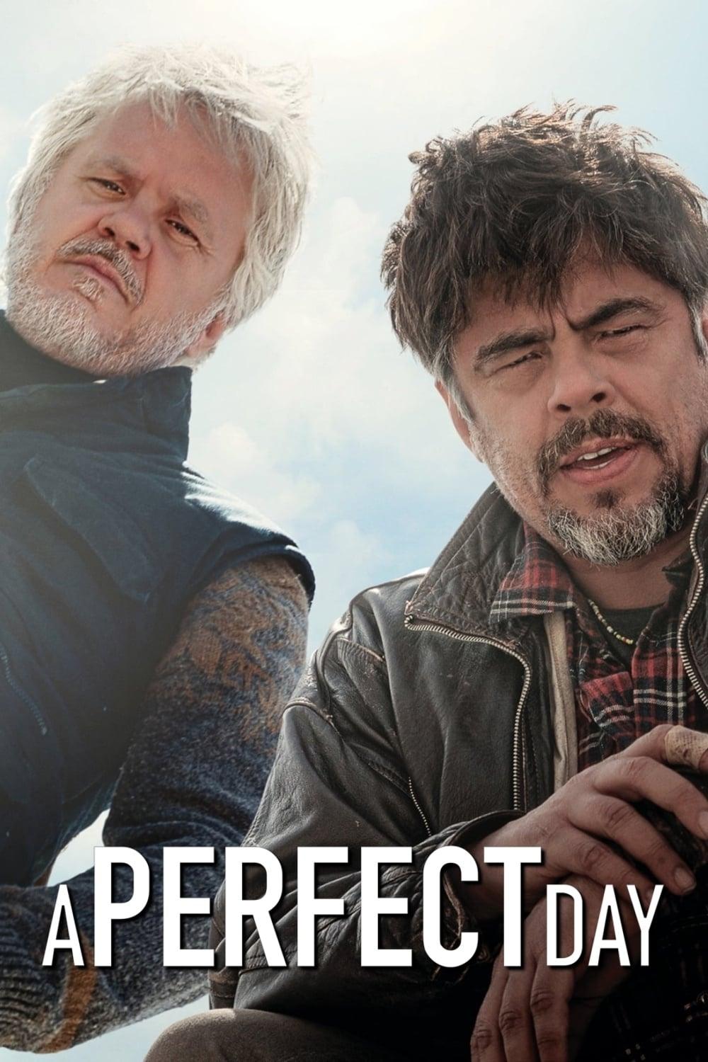 A Perfect Day poster