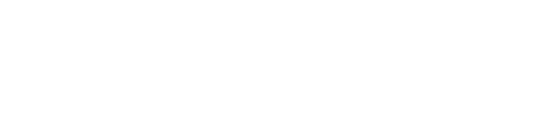 Seberg logo