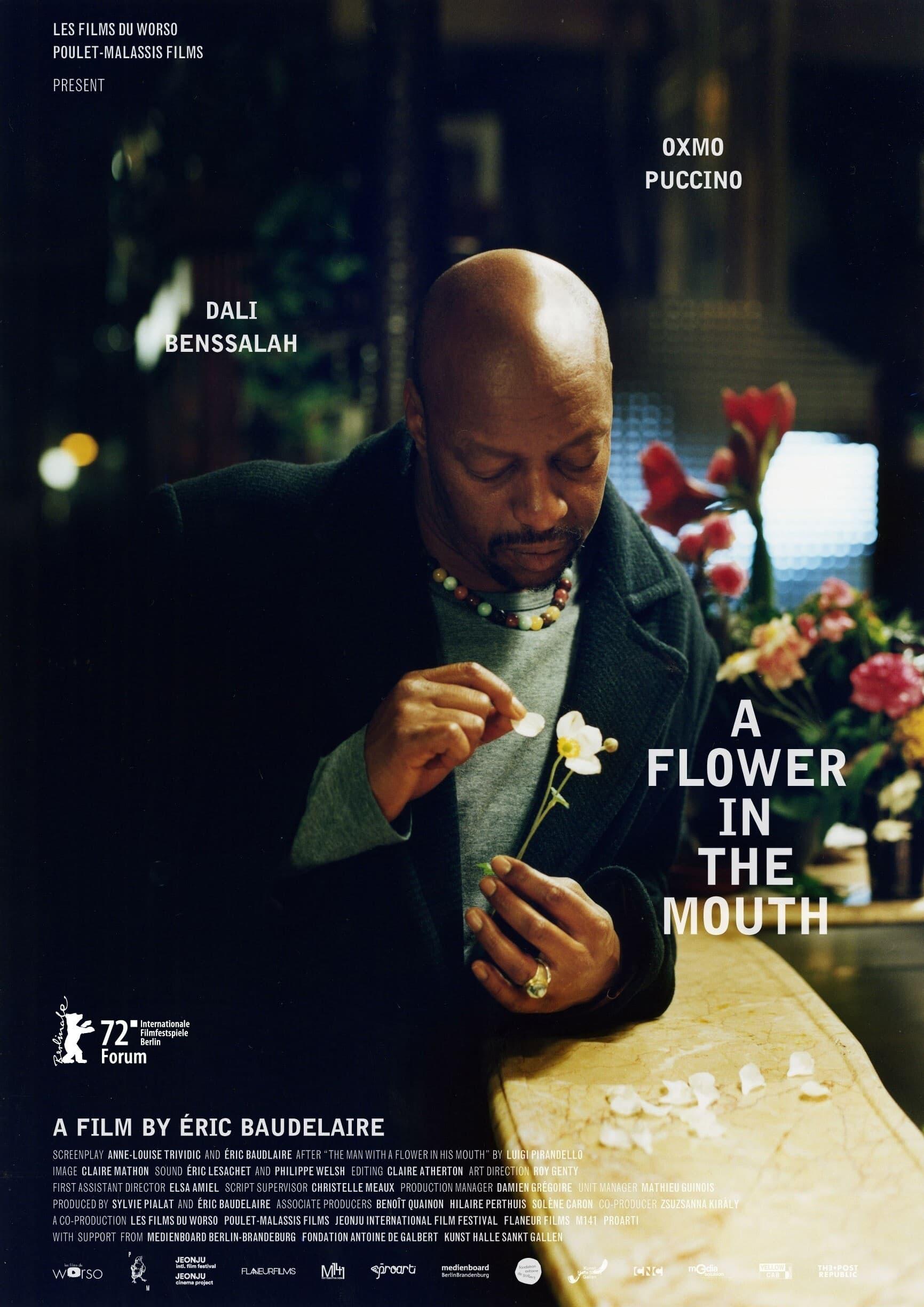 A Flower in the Mouth poster