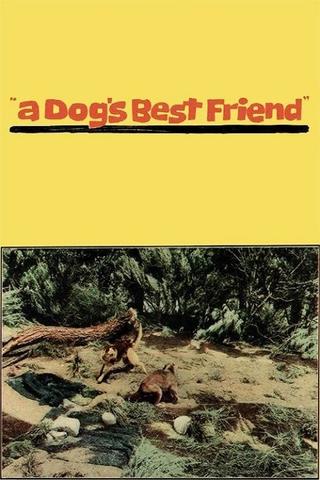 A Dog's Best Friend poster