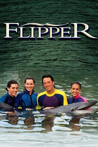 Flipper: The New Adventures poster
