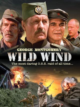Wild Wind poster