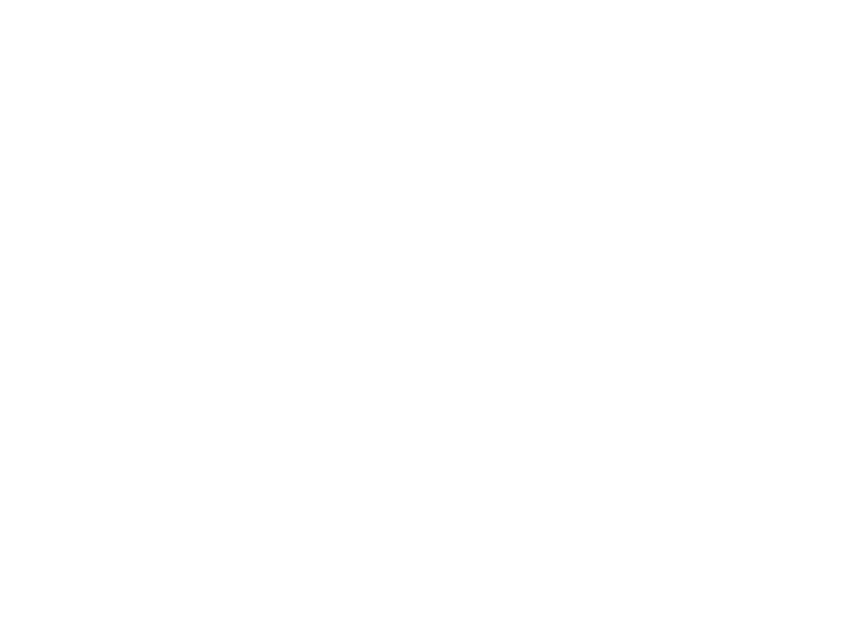 Spirit Untamed logo