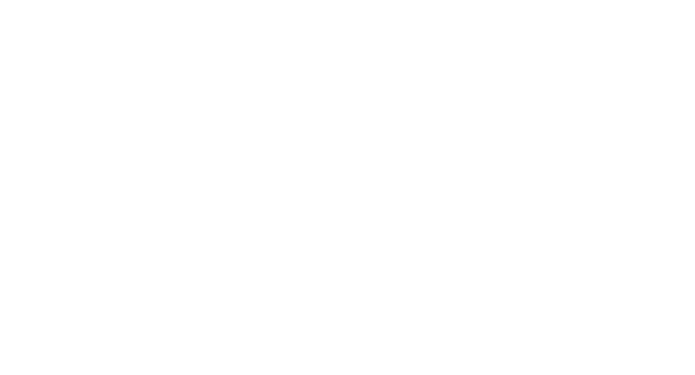 The Lost Brother logo