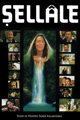 The Waterfall poster