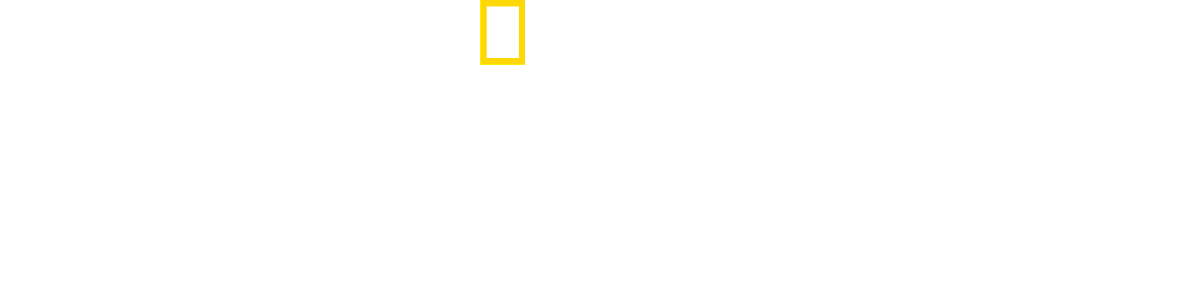 The Long Road Home logo