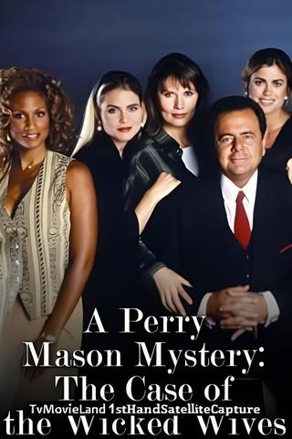Perry Mason: The Case of the Wicked Wives poster