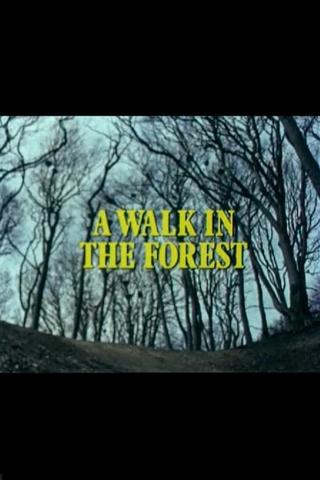 A Walk in the Forest poster