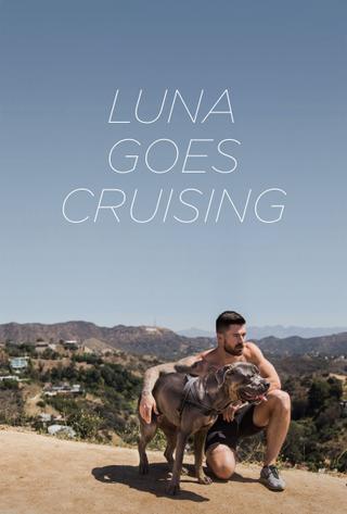 Luna Goes Cruising poster