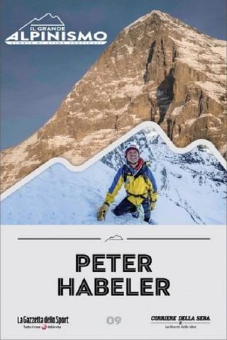Peter Habeler: ... ich will die Welt von oben sehen poster