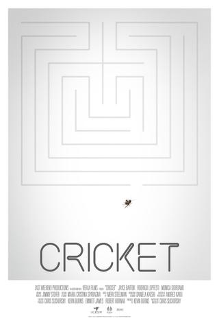 Cricket poster