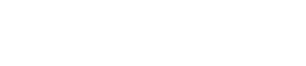 Christmas Wedding Planner logo