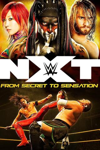 NXT: From Secret To Sensation poster