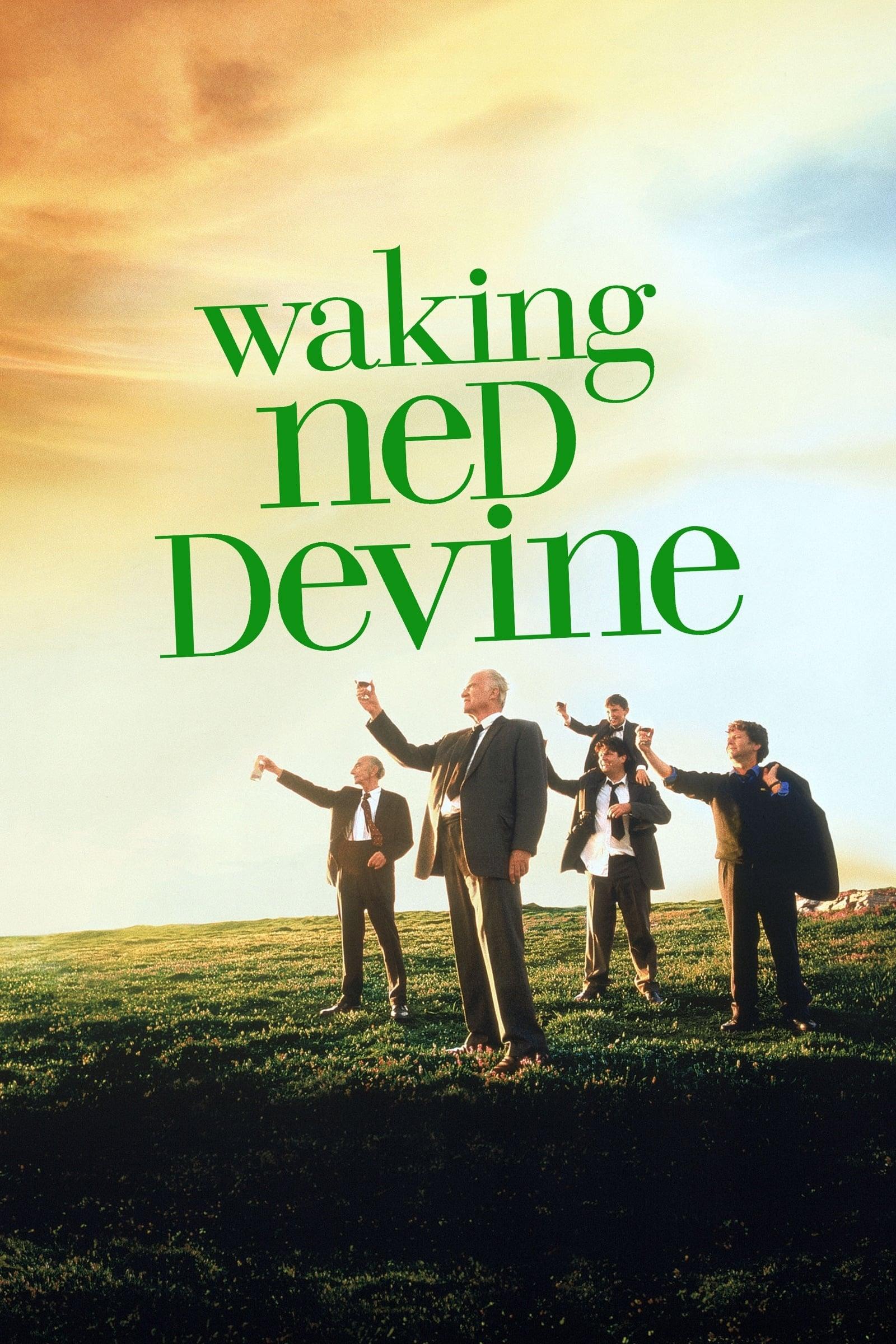 Waking Ned poster
