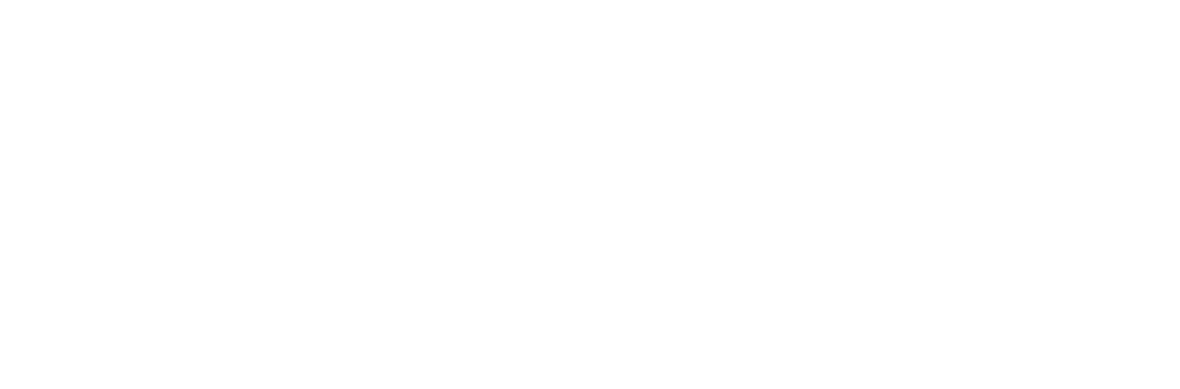 We Own the Night logo