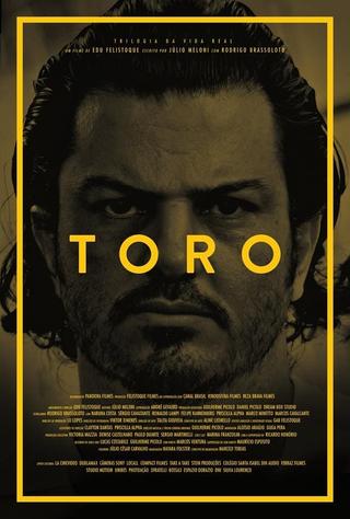 Toro poster