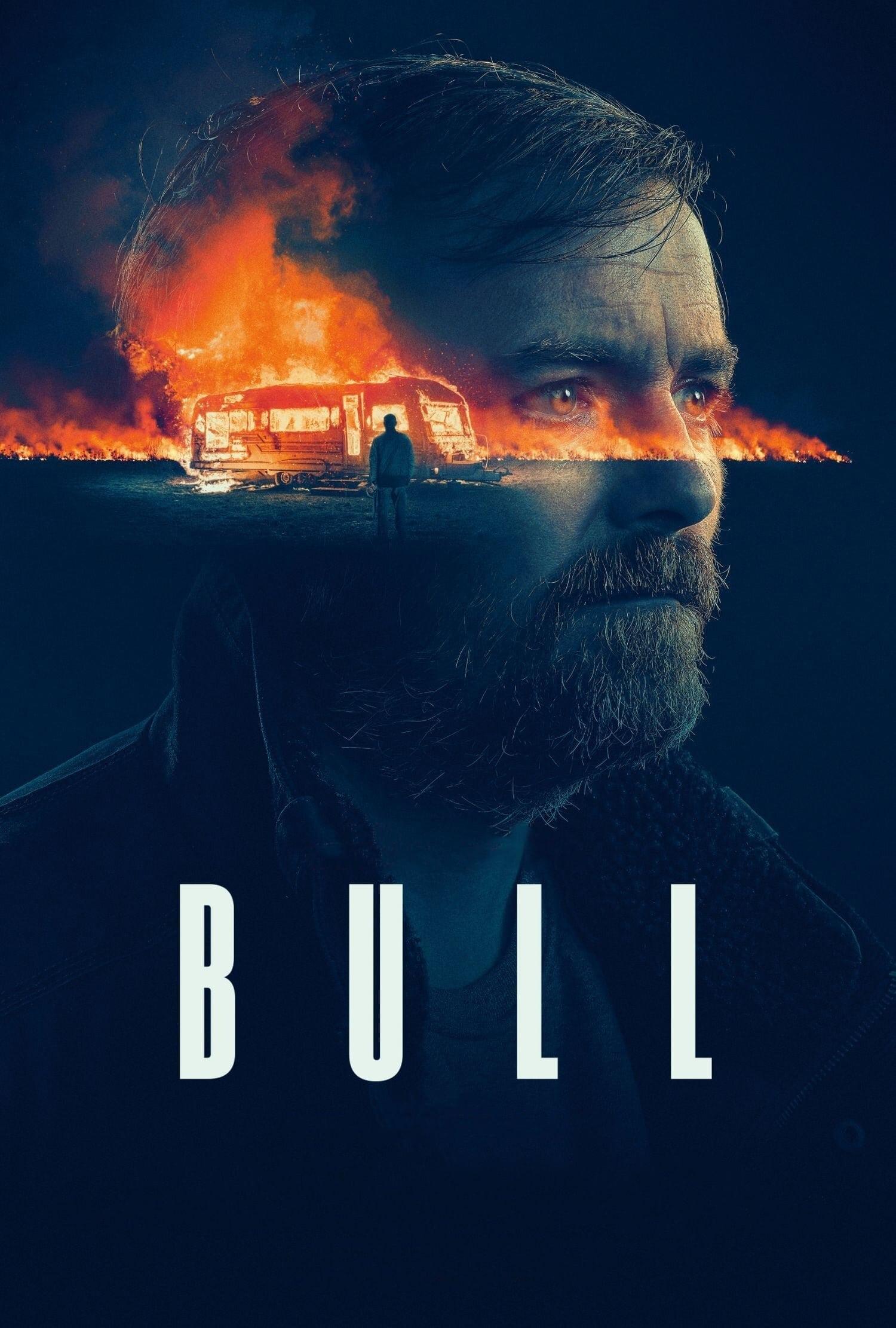Bull poster