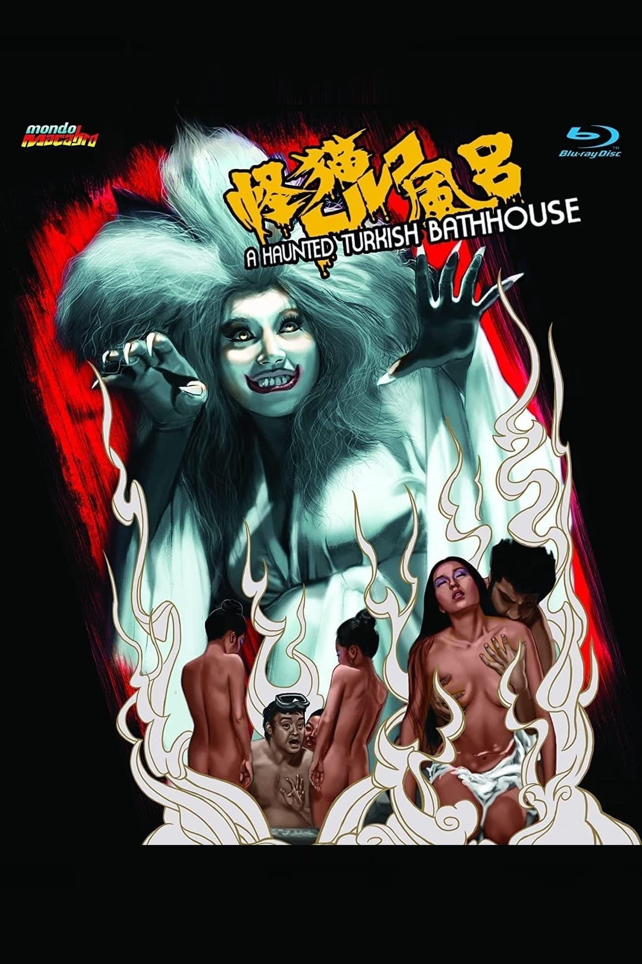 A Haunted Turkish Bathhouse poster