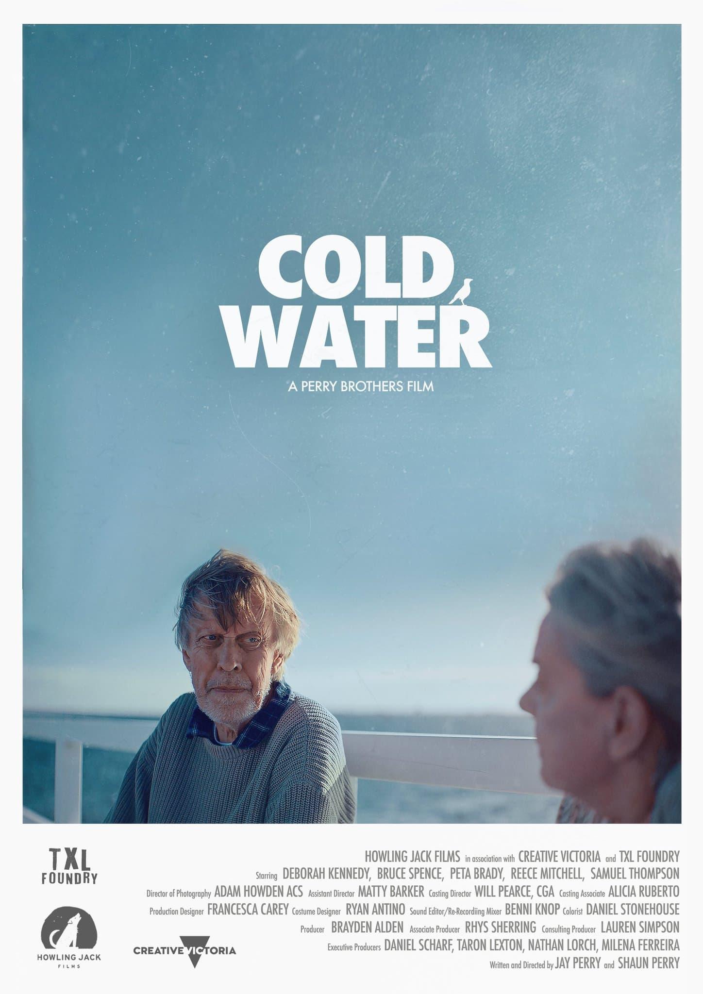 Cold Water poster
