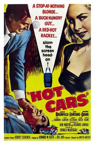 Hot Cars poster
