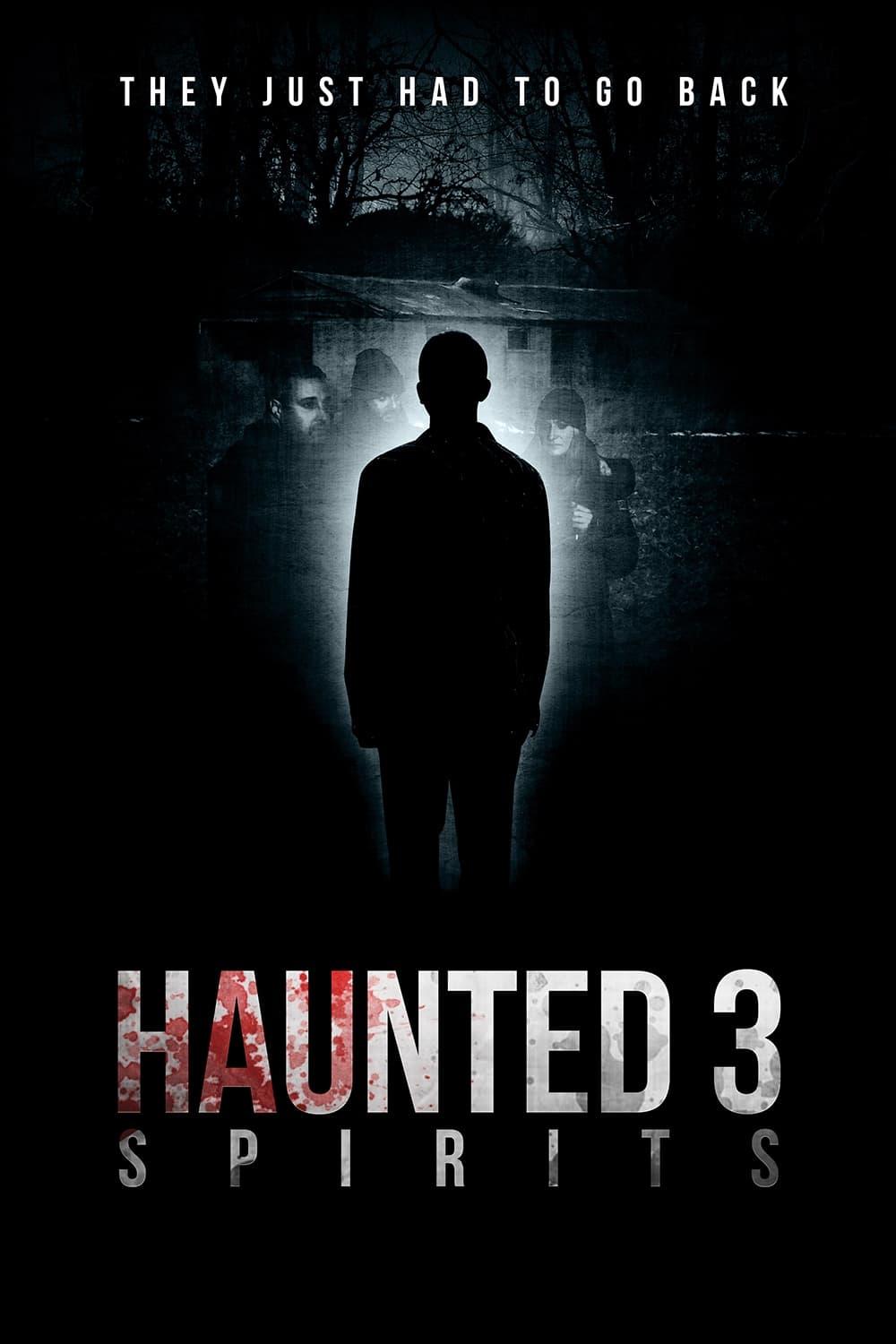 Haunted 3: Spirits poster