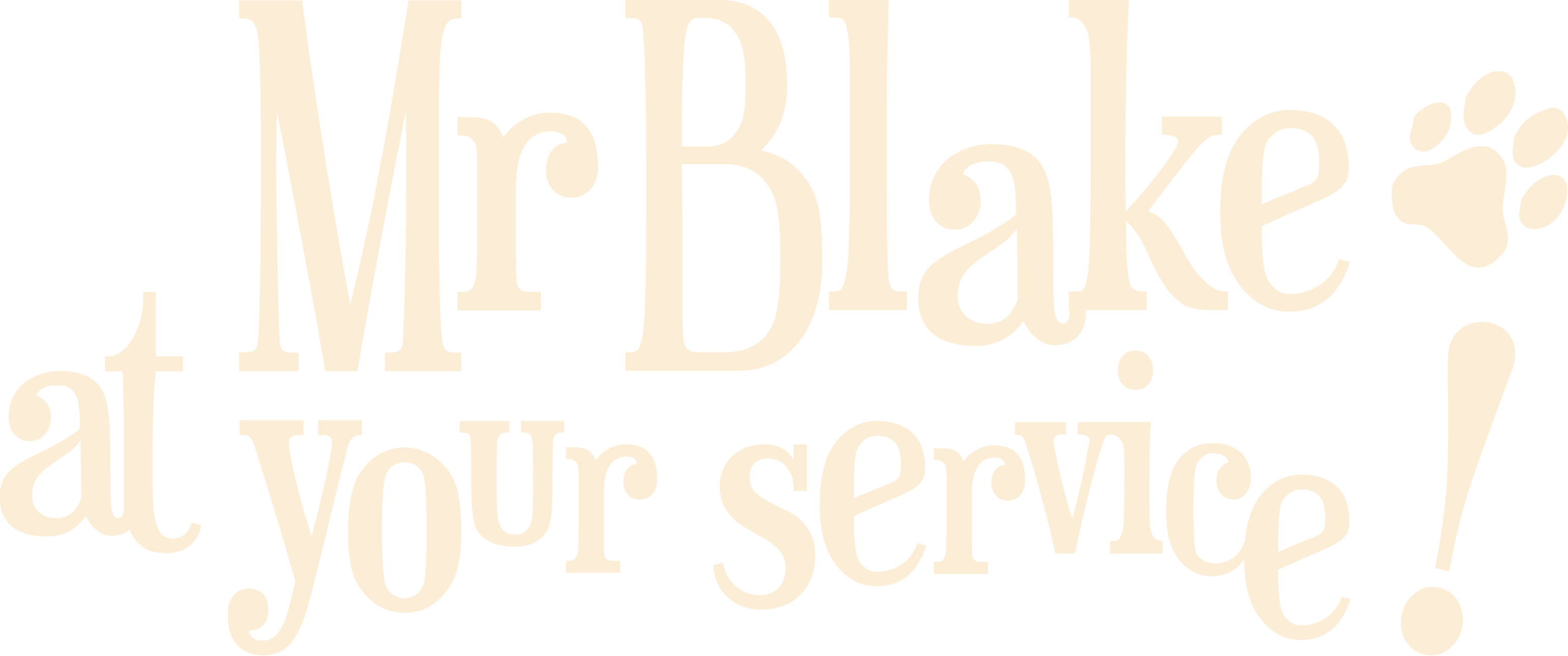 Mr. Blake At Your Service! logo