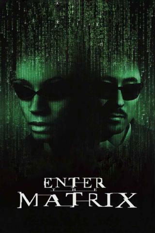 Making 'Enter the Matrix' poster