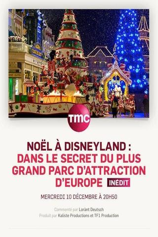 Noël à Disneyland : dans le secret du plus grand parc d'attraction d'Europe poster